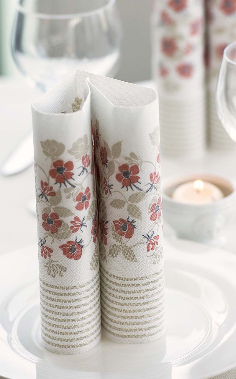 PPC-austria-paper-napkins-private-label-2