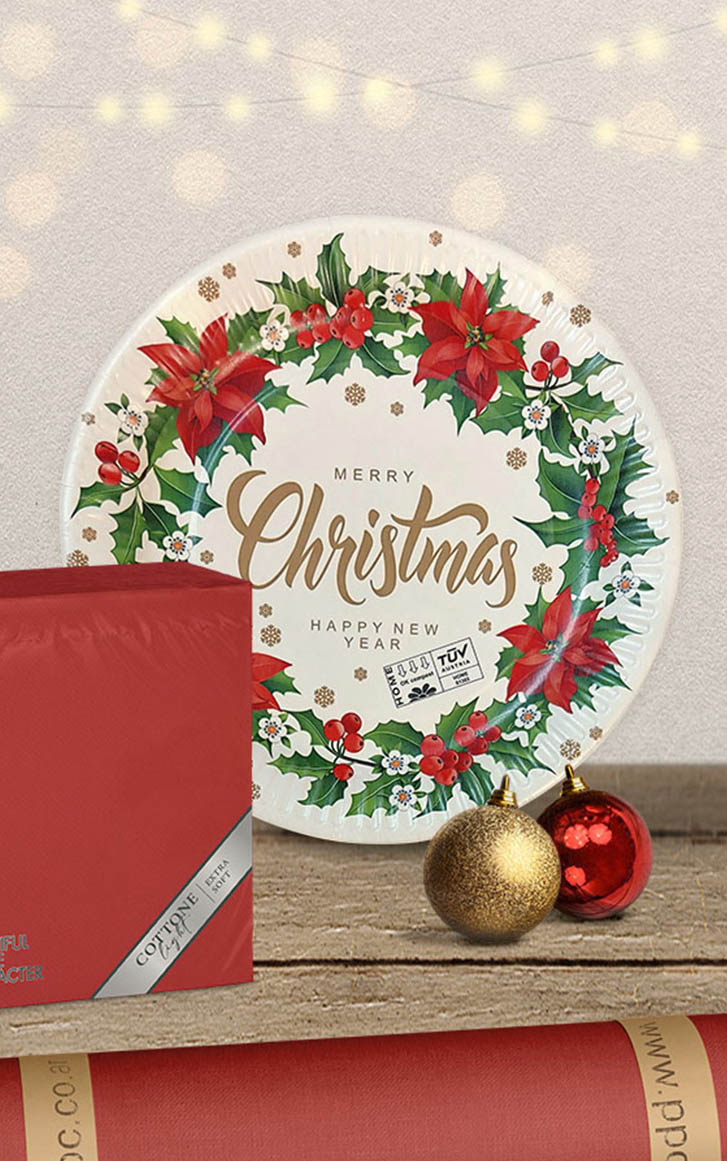 PPC-paper-plates-product-4