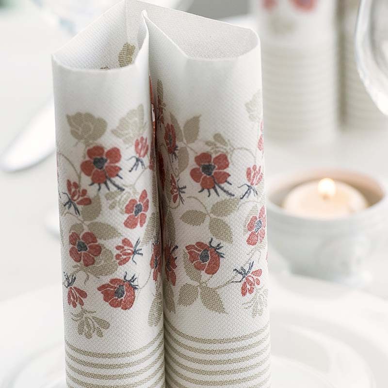 PPC-austria-paper-napkins-private-label-2