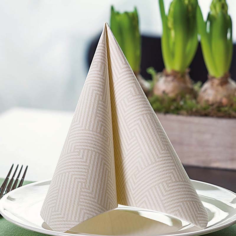 PPC-austria-paper-napkins-private-label-3