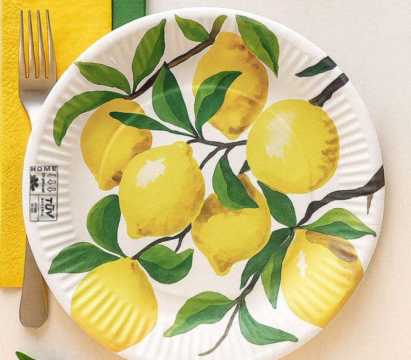 PPC-paper-plates-product-1