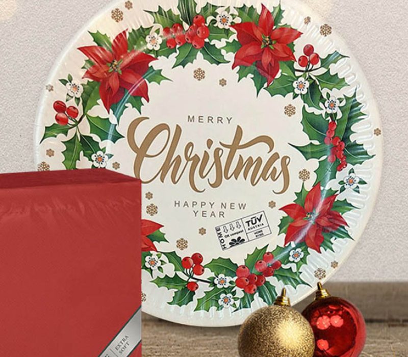 PPC-paper-plates-product-4